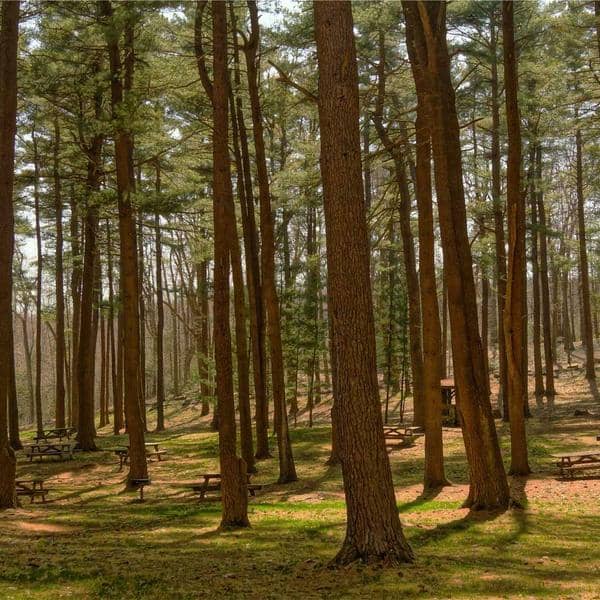 Albanian Embroidered Blouse thumbnail 1