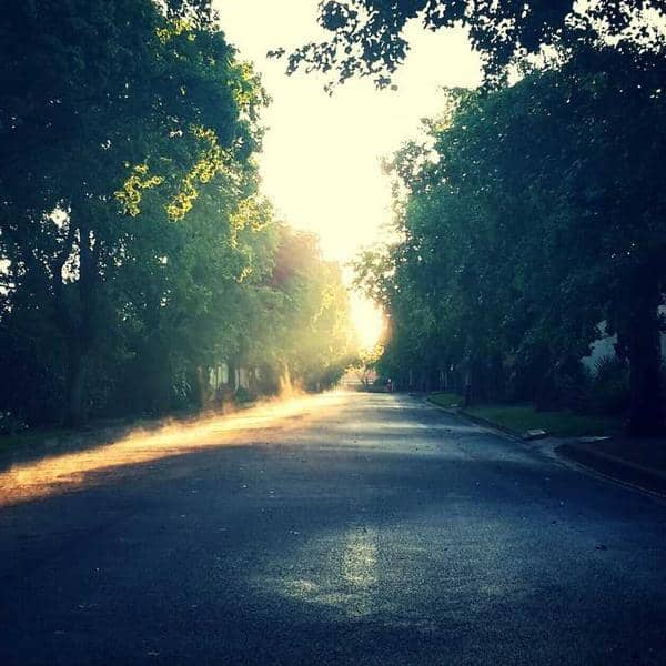 Embroidered Vest thumbnail 2