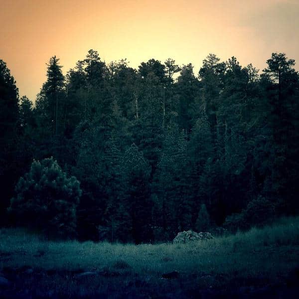 USB-C Power Bank 20000mAh thumbnail 1