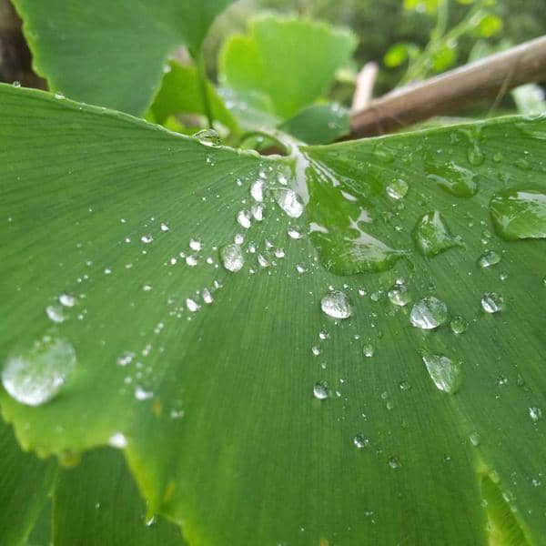 USB-C Power Bank 20000mAh thumbnail 2