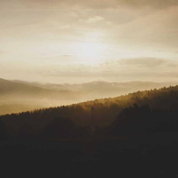 Laptop Stand Aluminum thumbnail 2