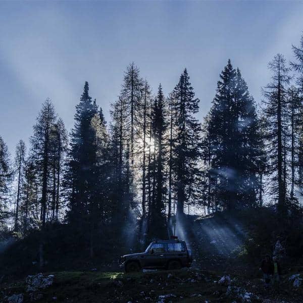 Herb Garden Starter Kit thumbnail 1