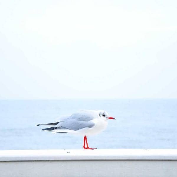 Ceramic Vase Painted thumbnail 1