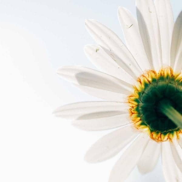 Woven Basket Set thumbnail 1