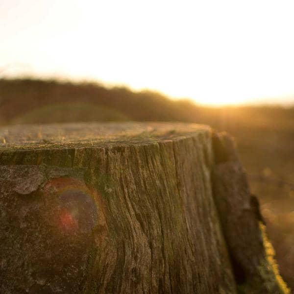 Calligraphy Art Print thumbnail 2