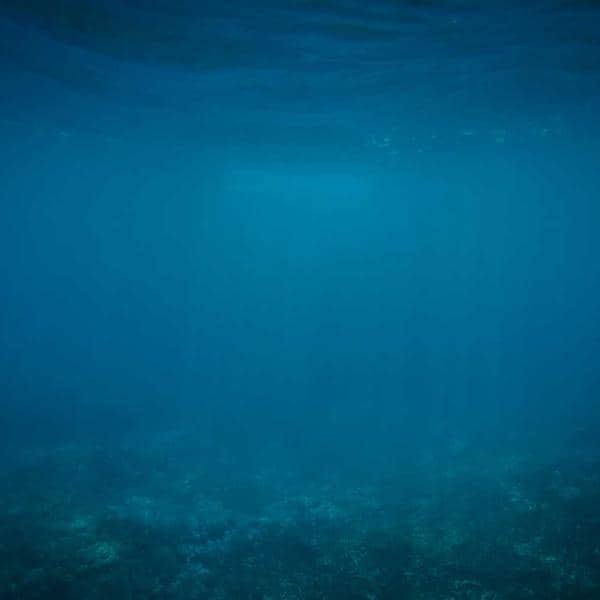 Olive Oil Soap Bar Set thumbnail 1