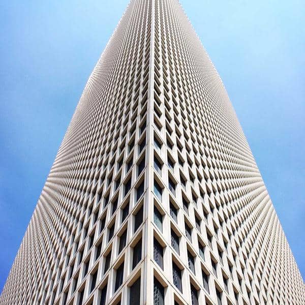 Natural Lip Balm Pack thumbnail 1