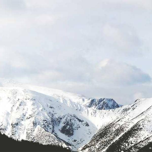 Night Repair Cream thumbnail 1