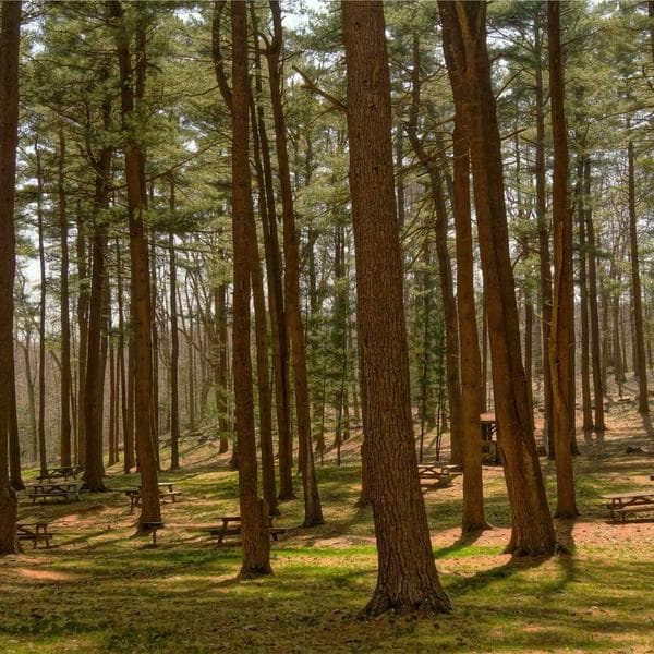Albanian Embroidered Blouse