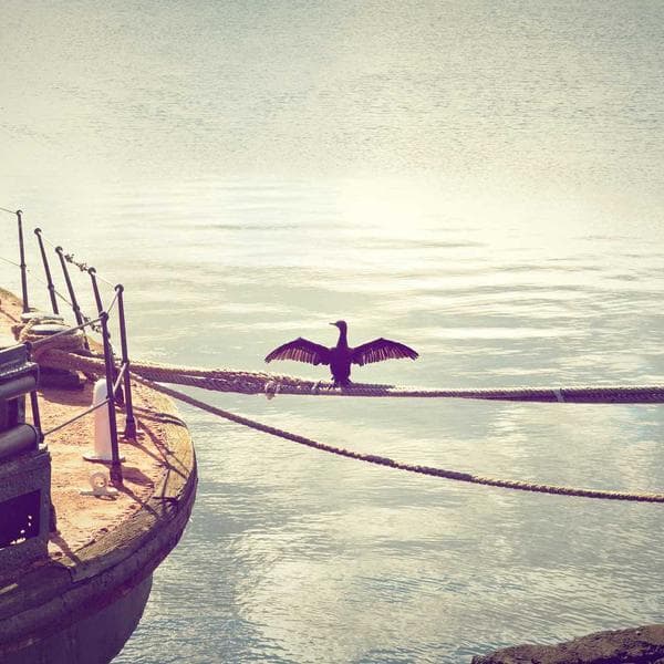 Smart Watch Fitness Tracker