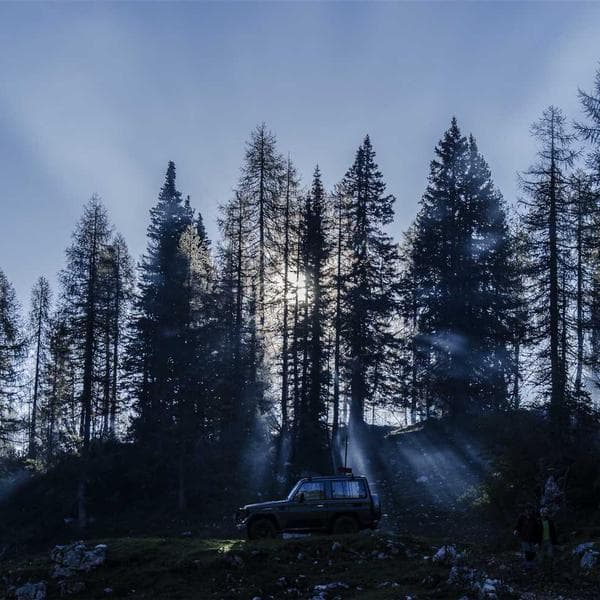 Herb Garden Starter Kit