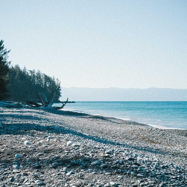 Albanian Rose Face Oil