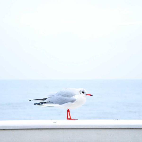 Ceramic Vase Painted