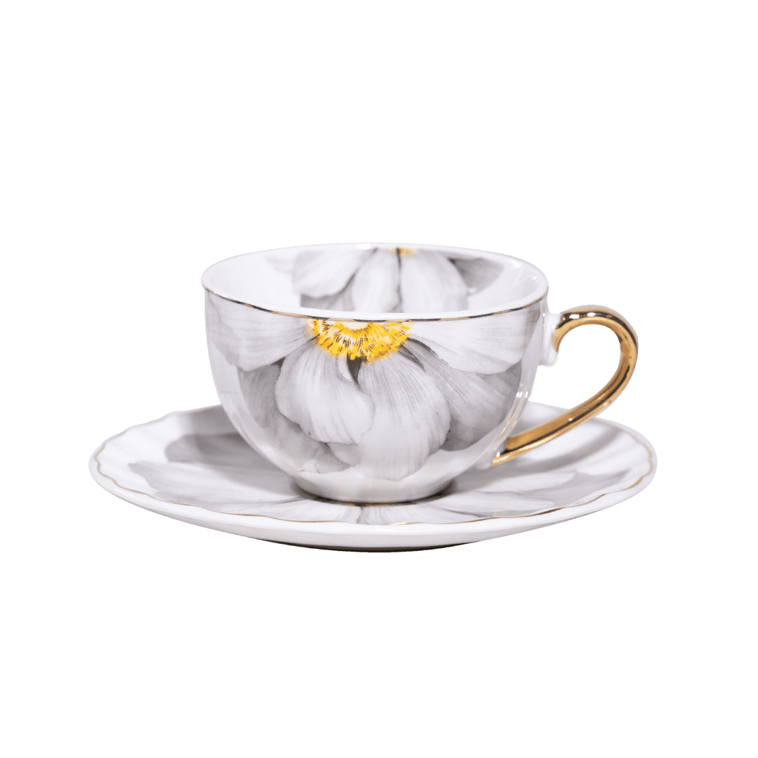 Filxhanë Kafe Porcelani ED2683 set 6 cope