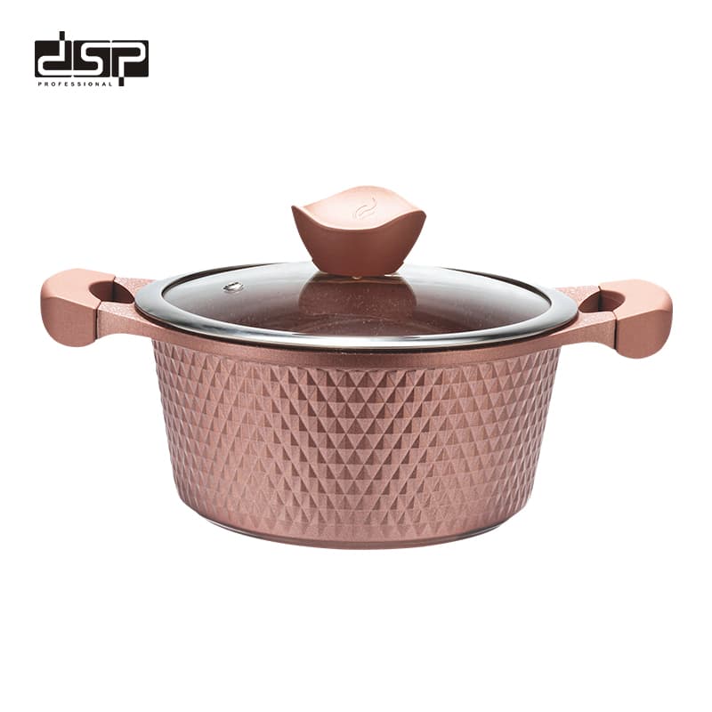 Tenxhere Me Veshje Guri DSP Die-Cast 20*10 cm 2.6 L + kapak qelqi 20 cm